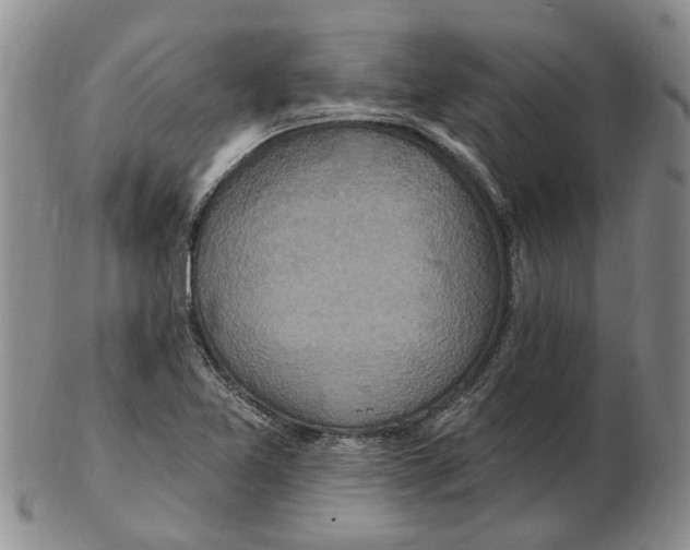 X0000102791365200809151115