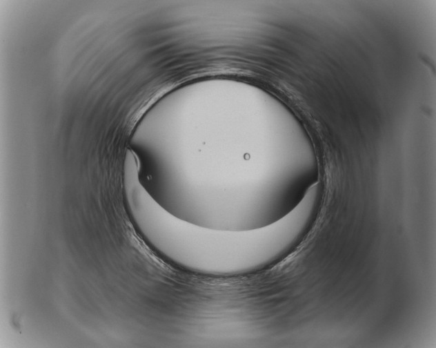 X0000102791369200809151115