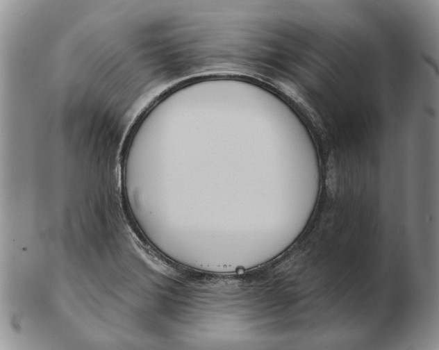 X0000102791372200809151115