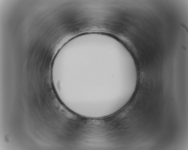 X0000102791374200809151115