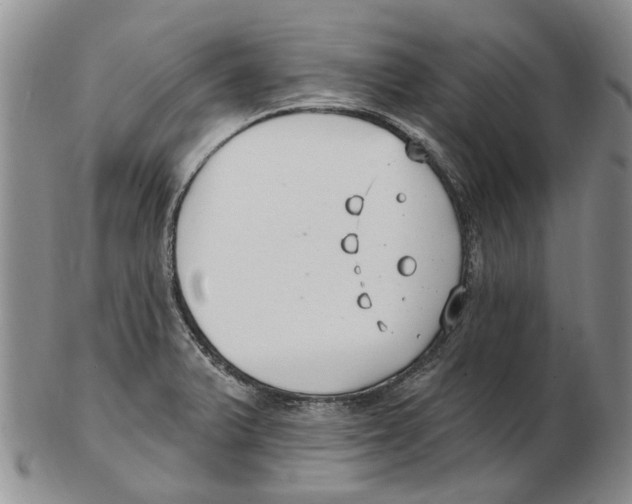 X0000102791375200809151115