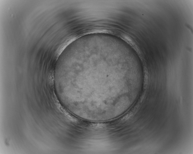 X0000102791377200809151115