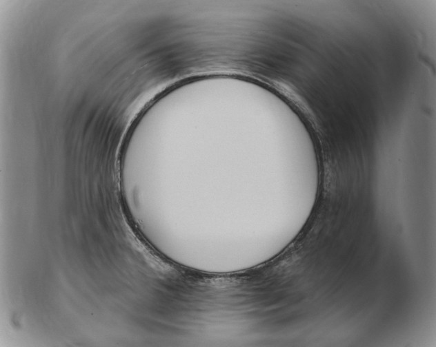 X0000102791380200809151115