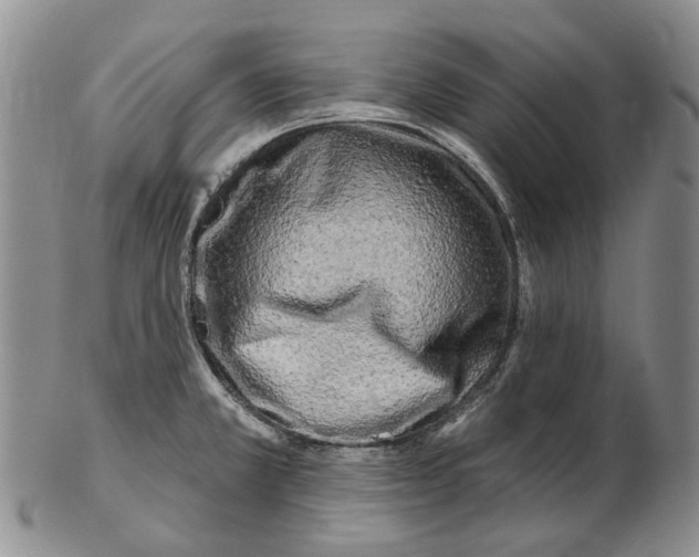 X0000102791381200809151115