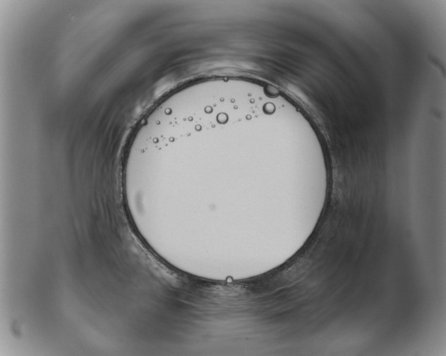 X0000102791384200809151115