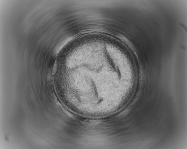 X0000102791385200809151115