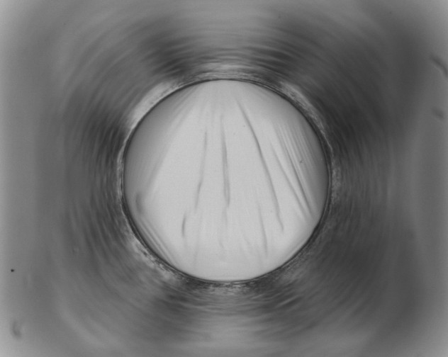 X0000102791386200809151115