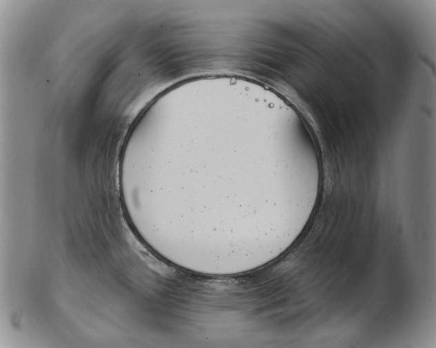 X0000102791388200809151115