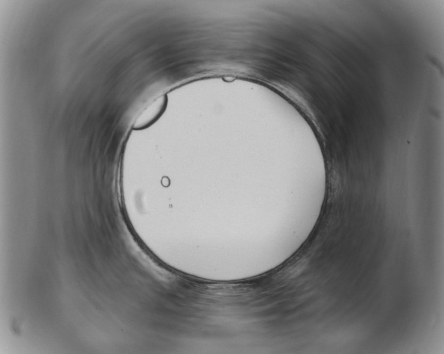 X0000102791391200809151115