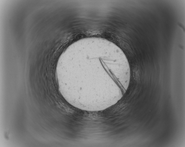 X0000102791393200809151114