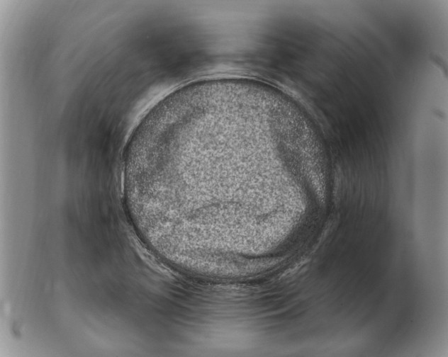 X0000102791413200809151115