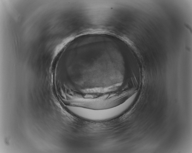 X0000102791414200809151115