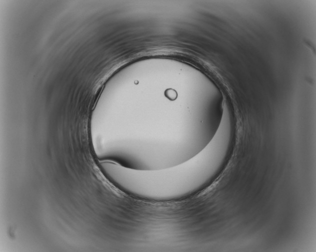 X0000102791417200809151115