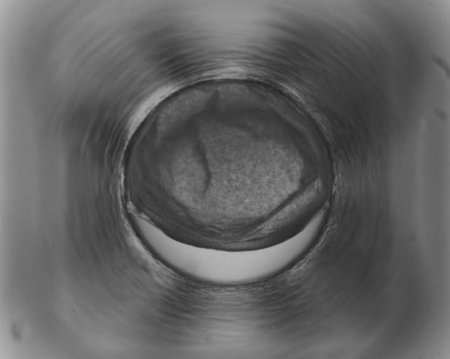 X0000102791418200809151115