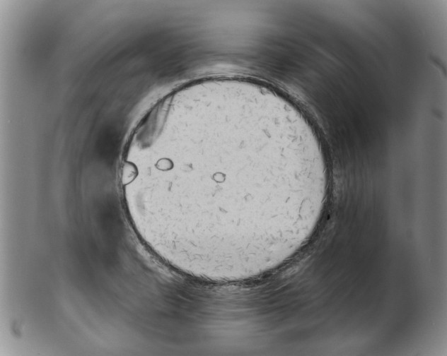 X0000102791421200809151115