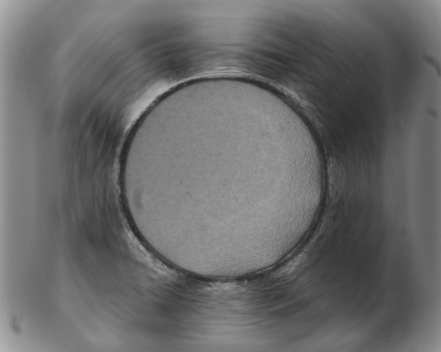 X0000102791422200809151115