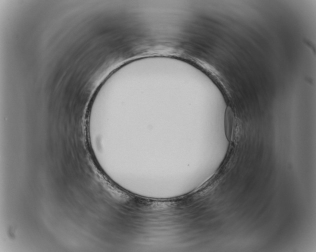 X0000102791423200809151115