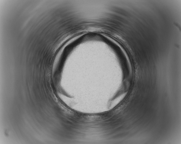 X0000102791425200809151115