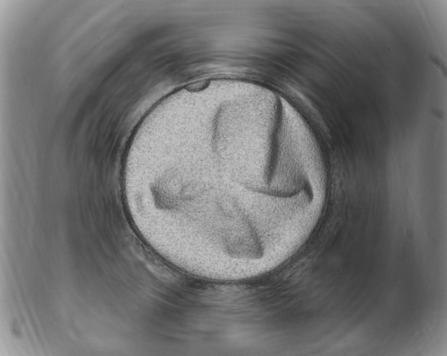 X0000102791427200809151115