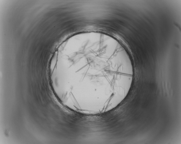 X0000102791429200809151115