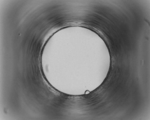 X0000102791432200809151115