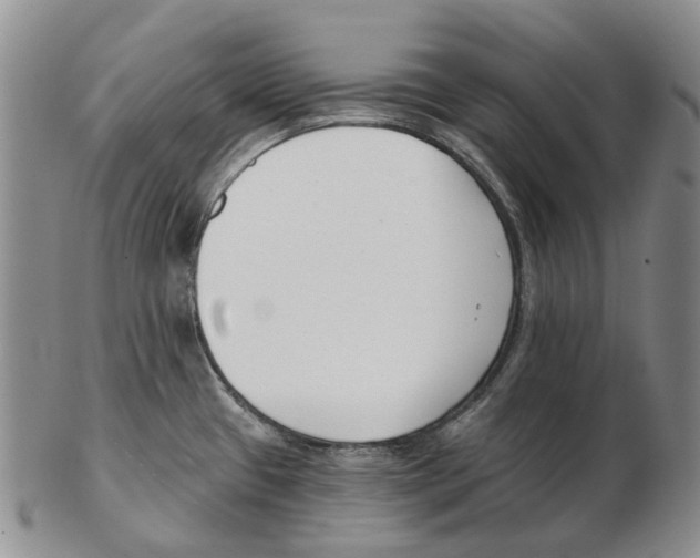 X0000102791433200809151115