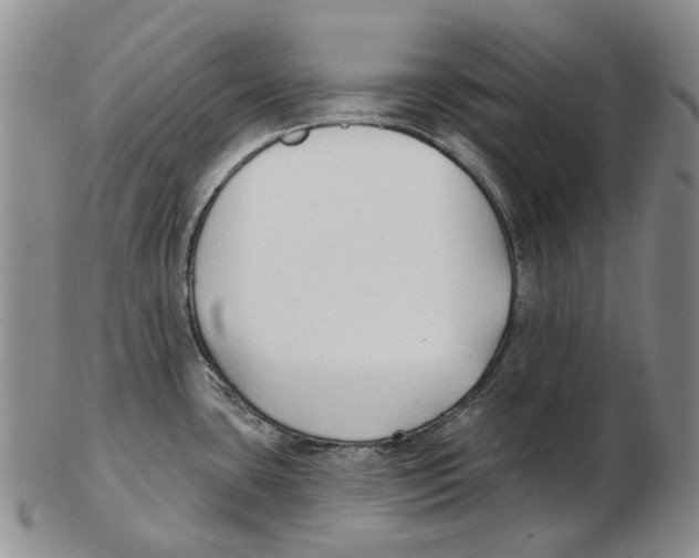 X0000102791435200809151115