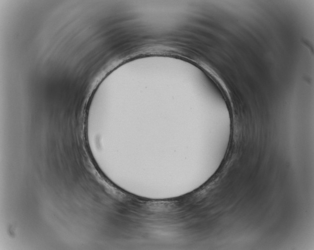 X0000102791437200809151115