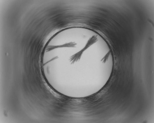 X0000102791438200809151115