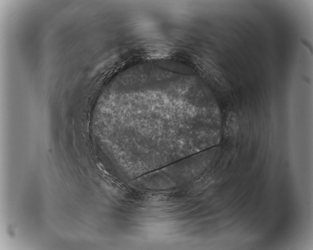 X0000102791441200809151114