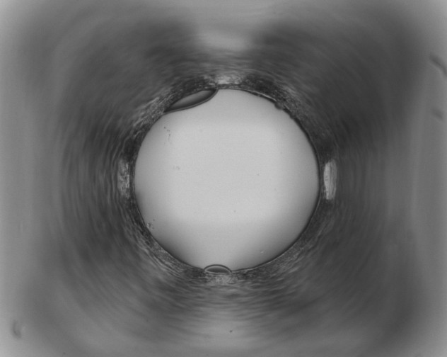 X0000102791443200809151114