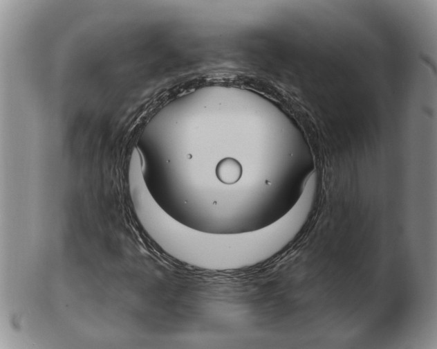 X0000102791445200809151114