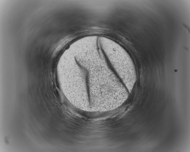 X0000102791453200809151114