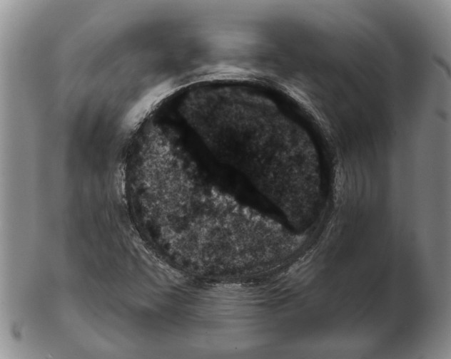 X0000102791455200809151114