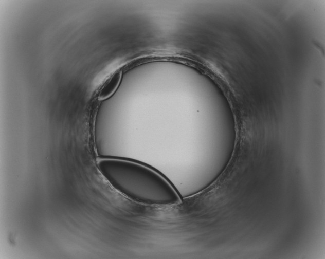 X0000102791456200809151114