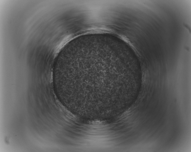 X0000102791459200809151114