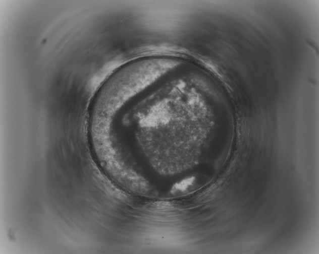 X0000102791463200809151114