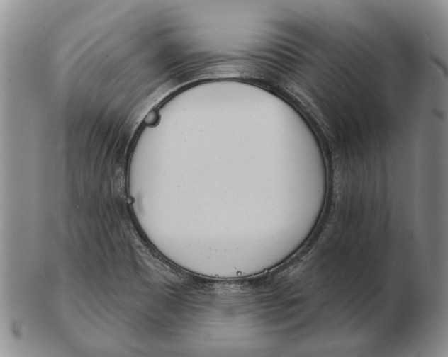 X0000102791465200809151114