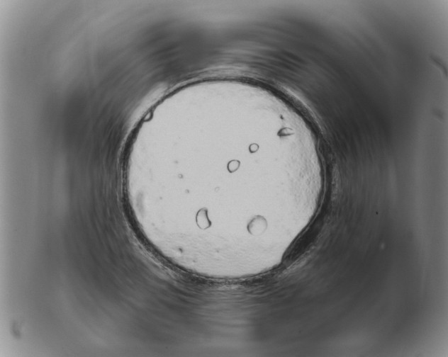 X0000102791467200809151114