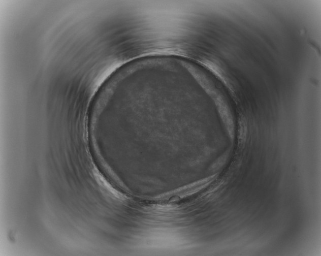 X0000102791468200809151114