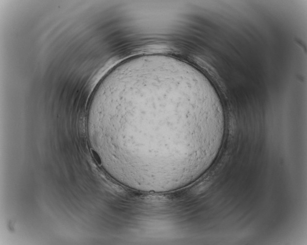 X0000102791473200809151114