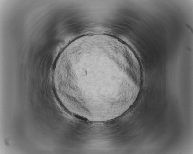 X0000102791477200809151114