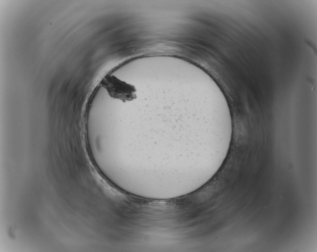 X0000102791478200809151114