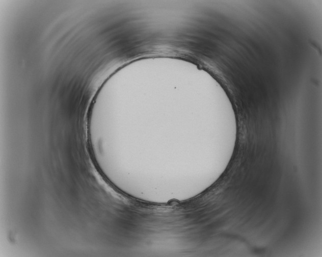 X0000102791479200809151114