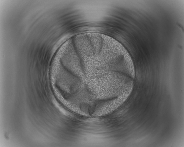 X0000102791482200809151114