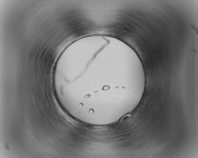 X0000102791483200809151114