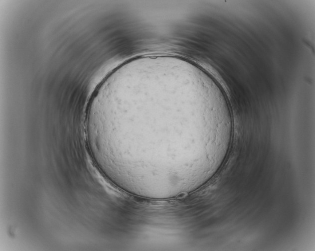 X0000102791485200809151114