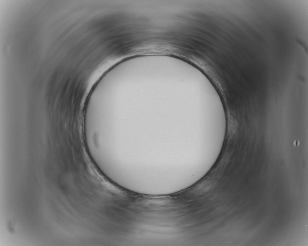 X0000102791486200809151114