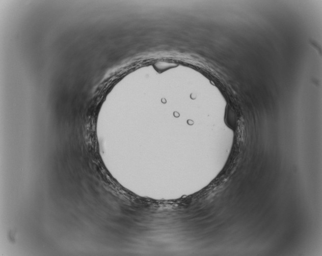 X0000102791494200809151113