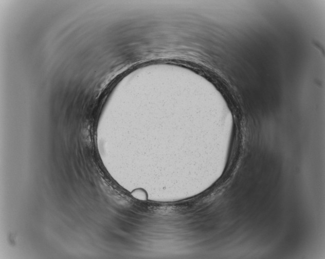 X0000102791497200809151113